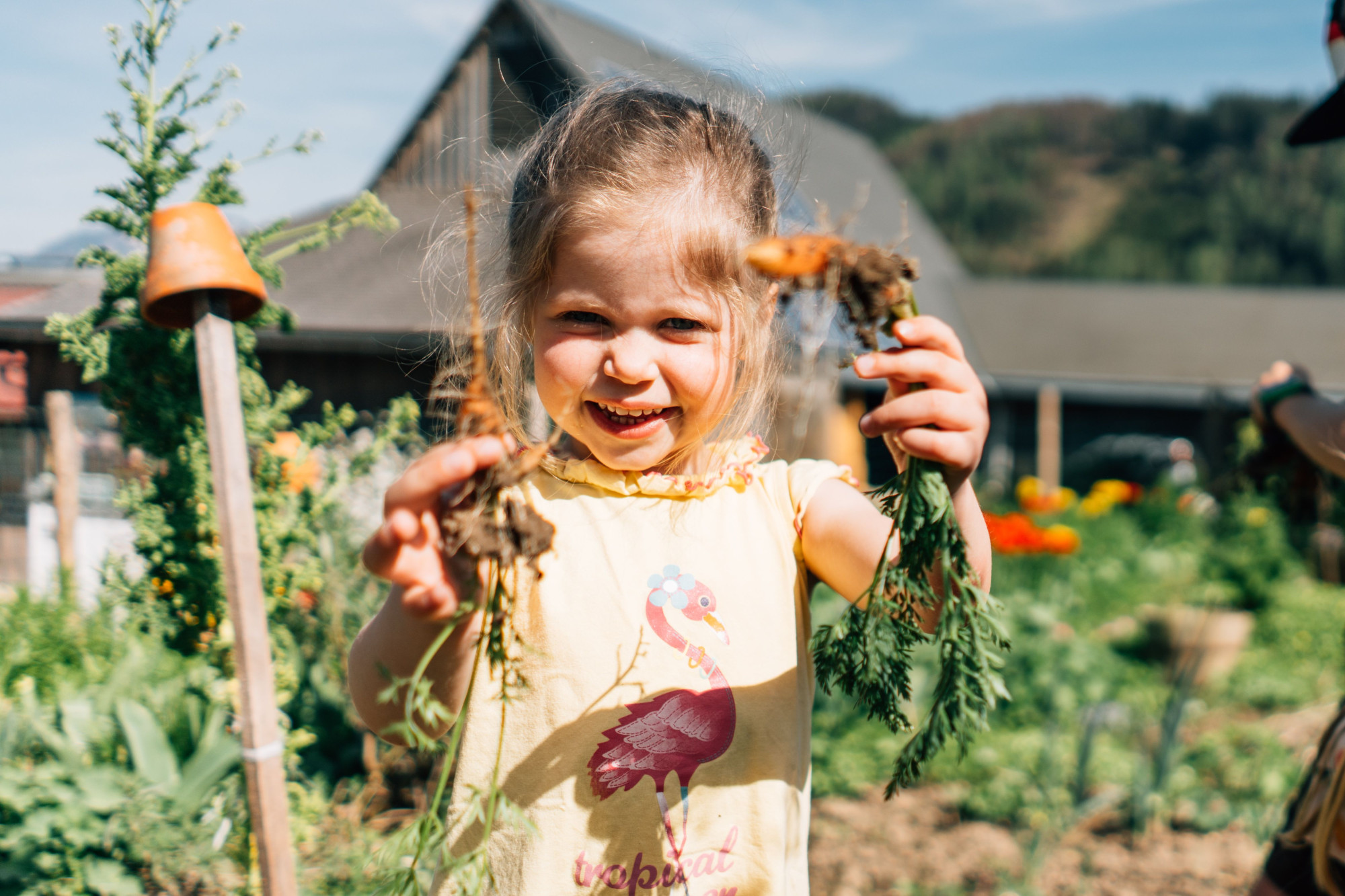  Foto: Daniel Gollner